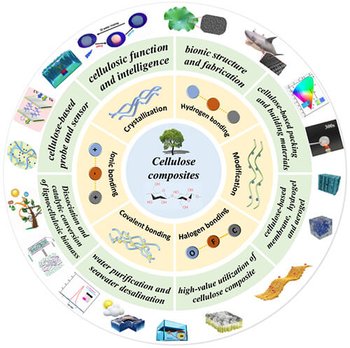 Sustainable Development and Multifunctional Application of Cellulose Composites