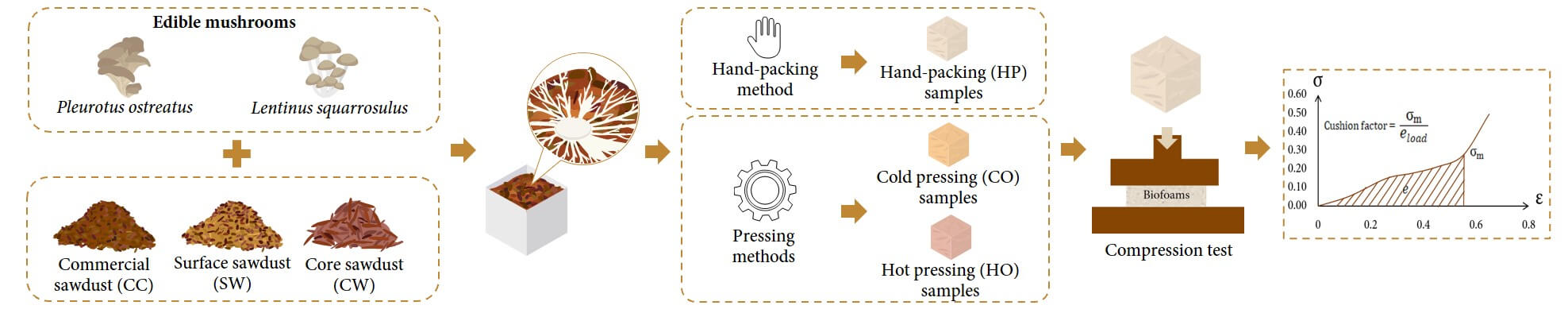 Characterization and Performance Evaluation of Mycelium-Based Biofoams for Cushioning Materials Using Edible Mushrooms