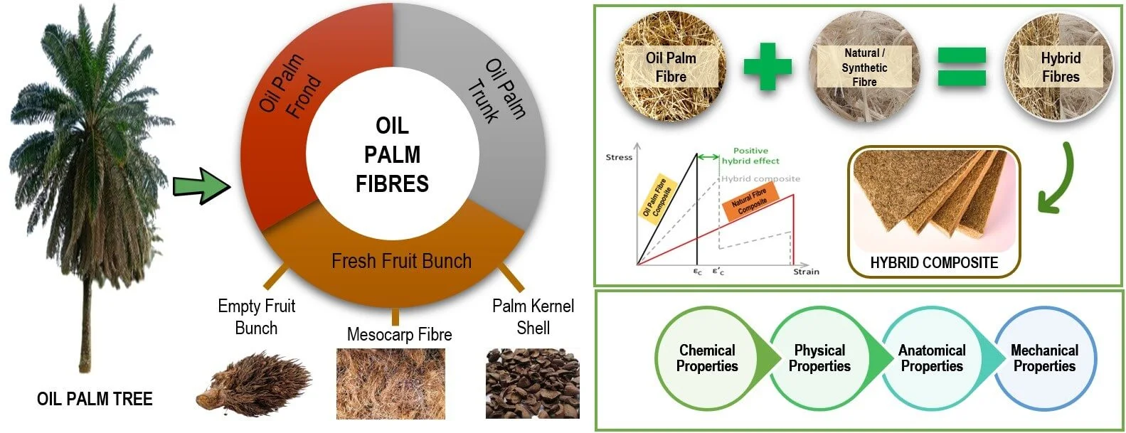 Oil Palm Fiber Hybrid Composites: A Recent Review