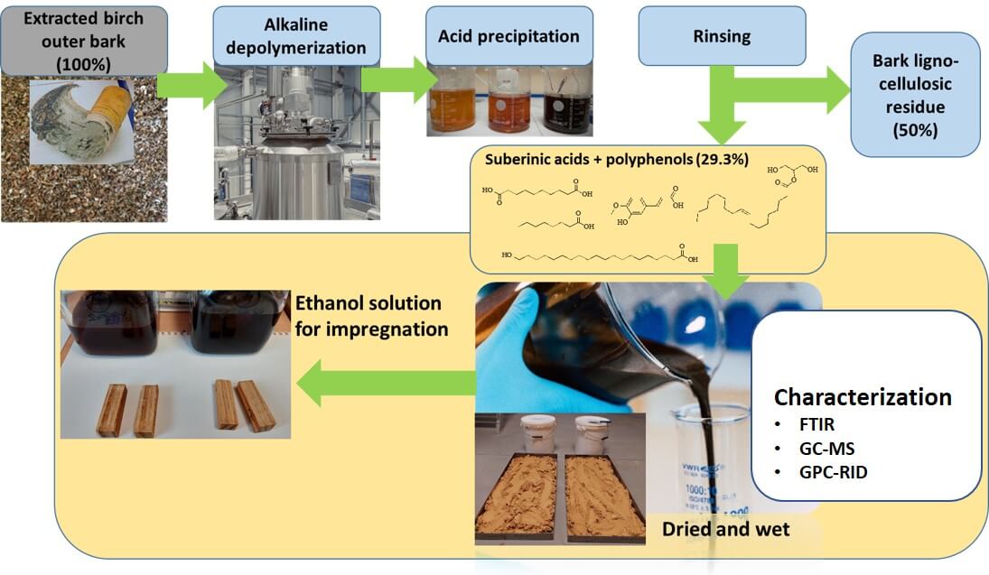 Evaluating the Potential of Birch Bark Suberinic Acids for Solid Wood Impregnation