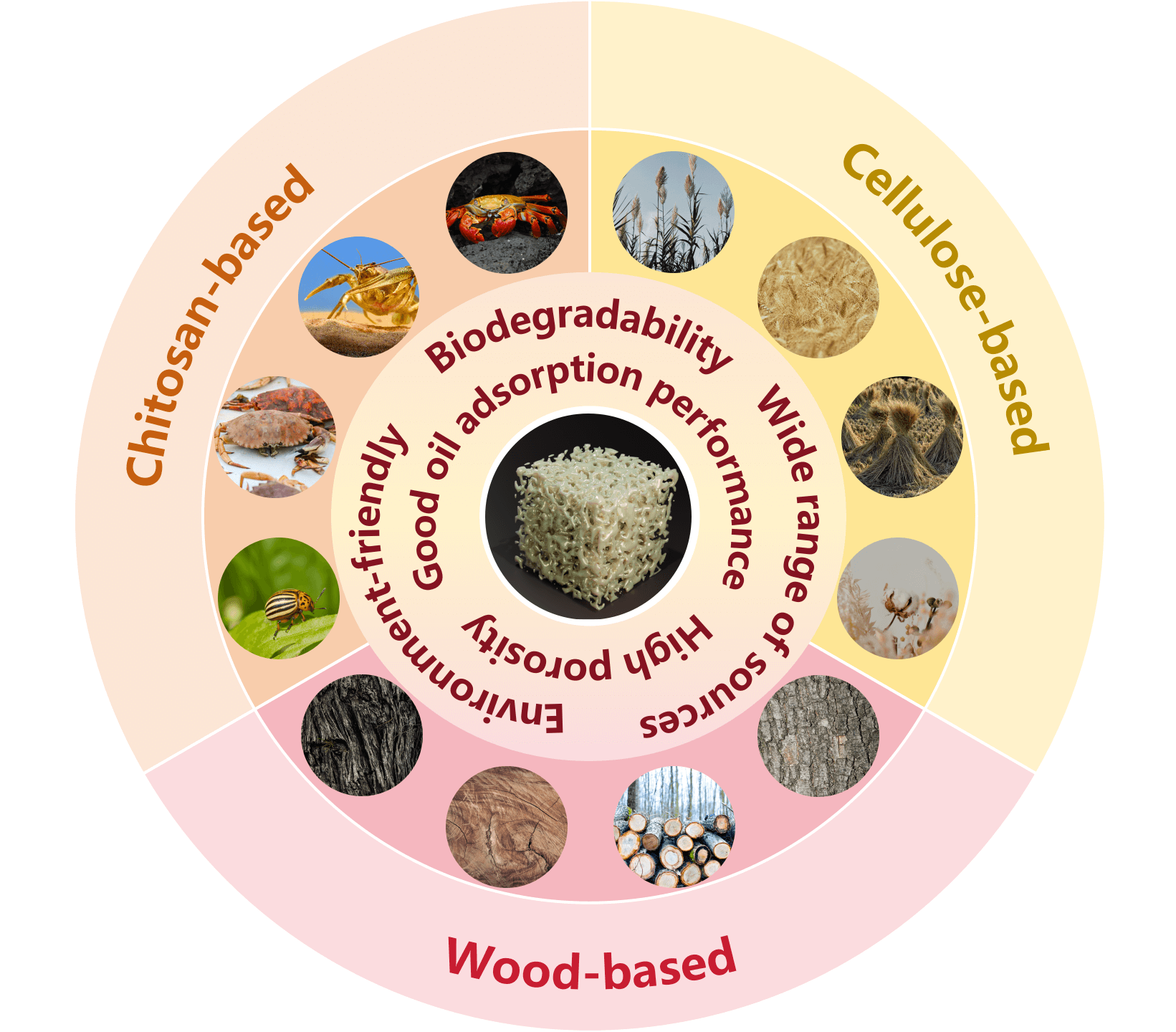 Research Progress of Biomass-Based Porous Oil-Absorbing Materials