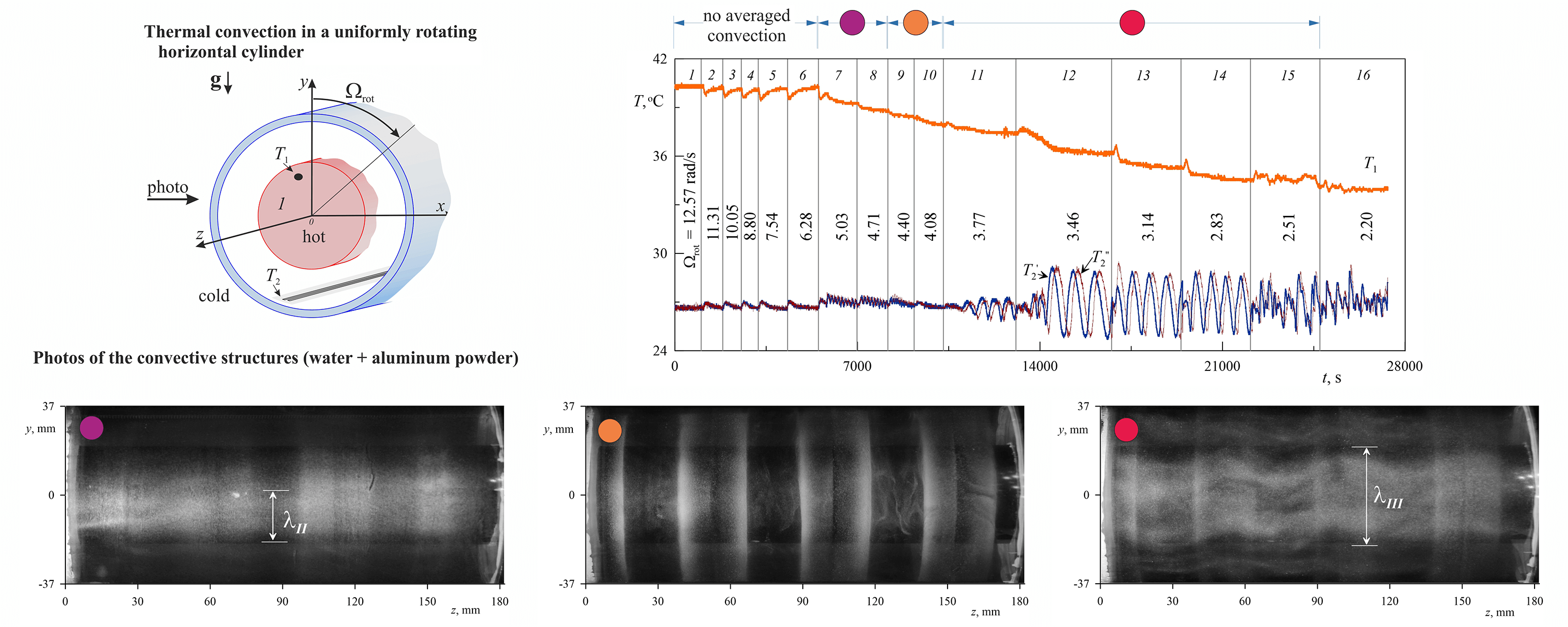 Experimental Study of Thermal Convection and Heat Transfer in Rotating Horizontal Annulus