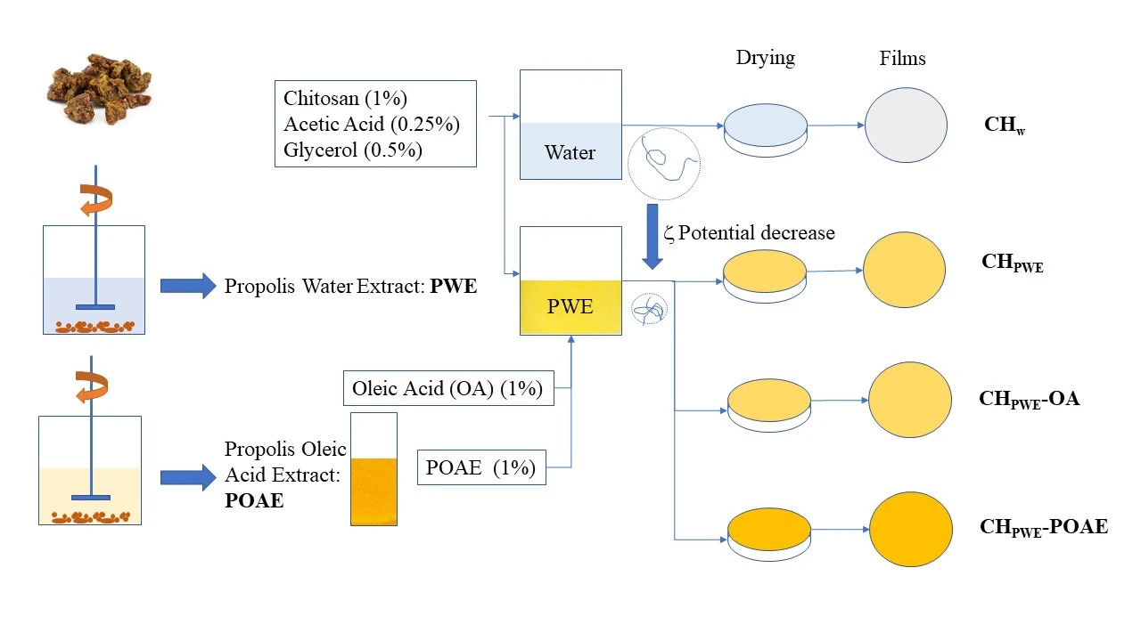 Improving Antioxidant Properties of Chitosan Films by Incorporating Extracted Fractions of Propolis