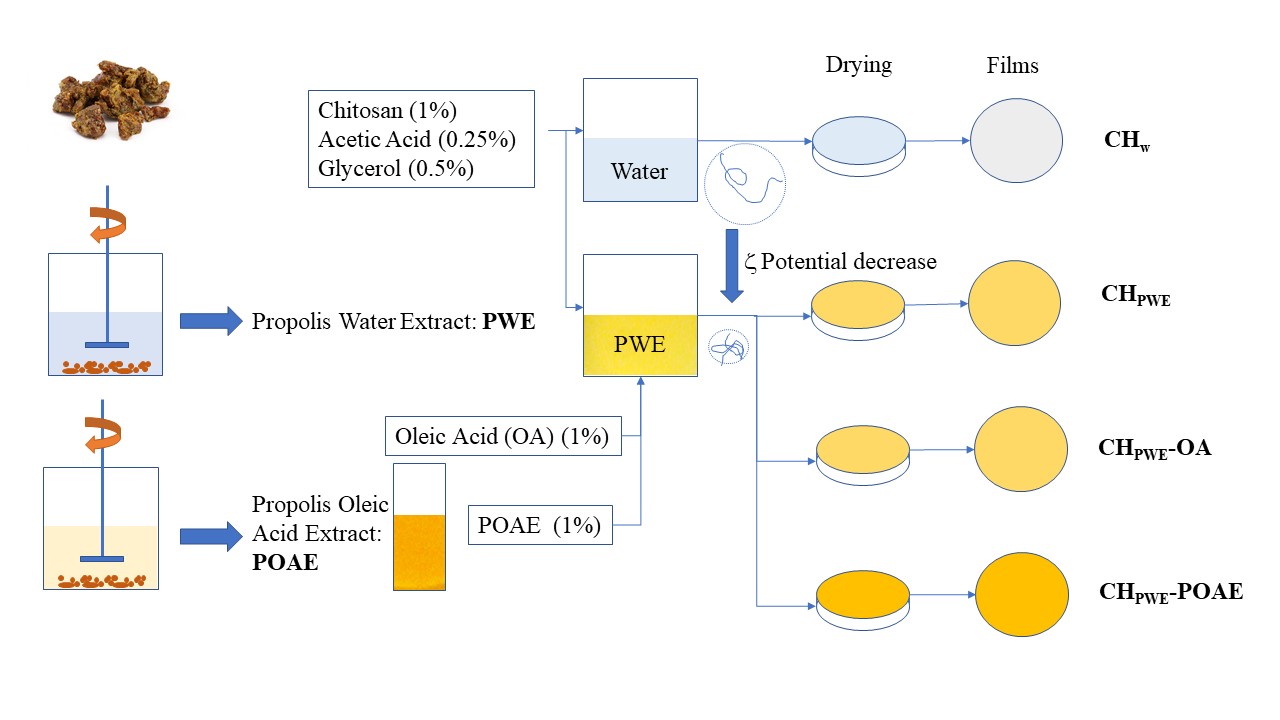 Improving Antioxidant Properties of Chitosan Films by Incorporating Extracted Fractions of Propolis