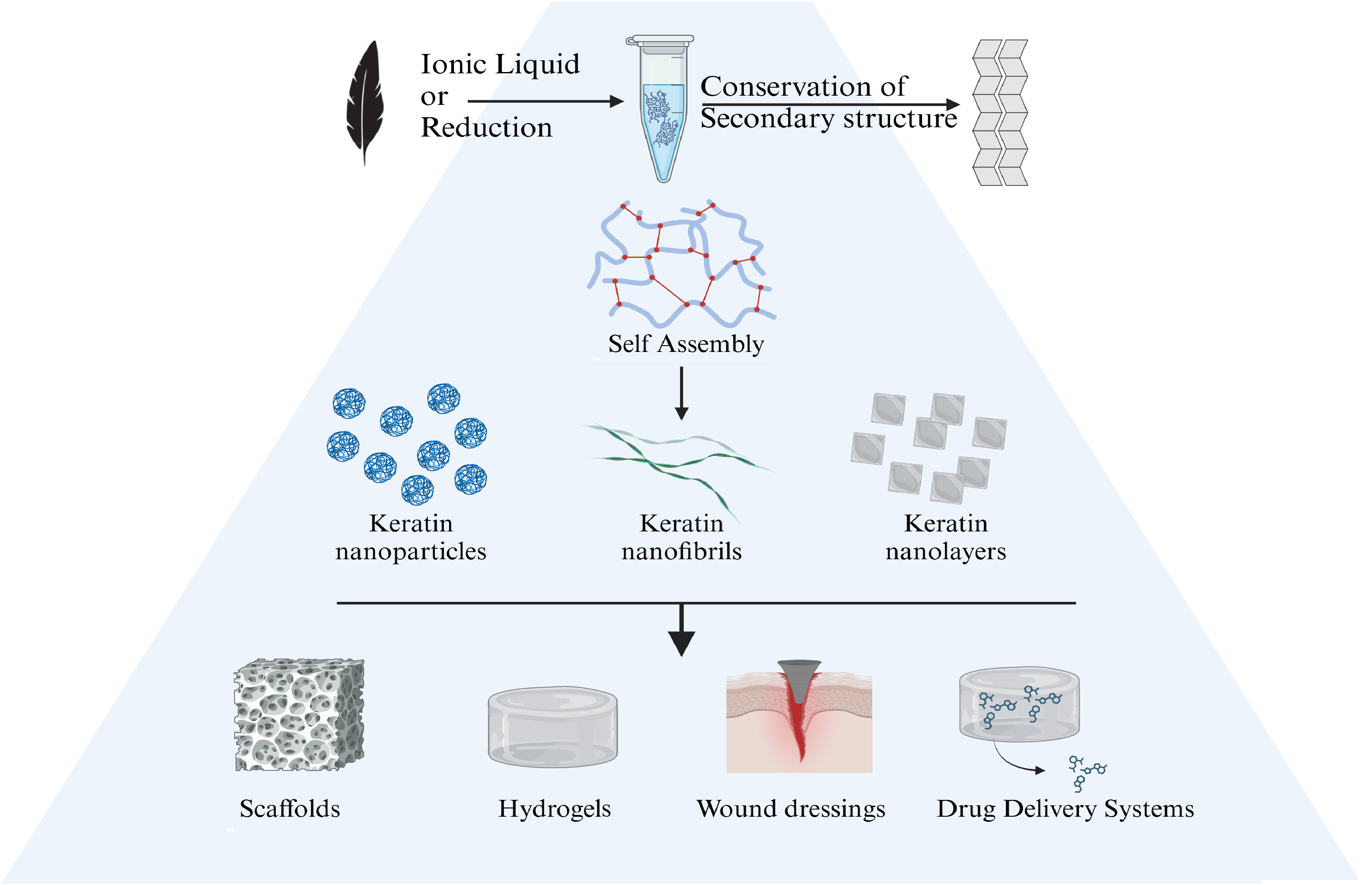 Synthesis and Properties of Biomimetic Self-Assembling Structures from Poultry Feather Keratin