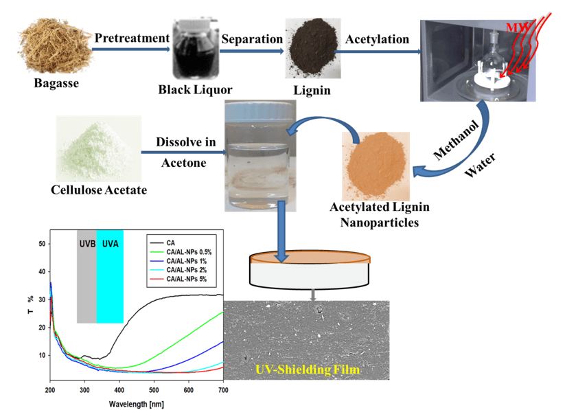 Microwave-Assisted Acetylated Lignin Loaded into Cellulose Acetate for Efficient UV-Shielding Films