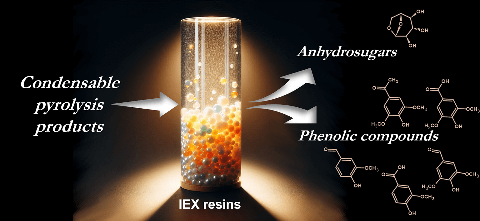 Comparison of Various Ion Exchange Resins for the Separation of Phenols in a Wood Pyrolysis-Based Biorefinery