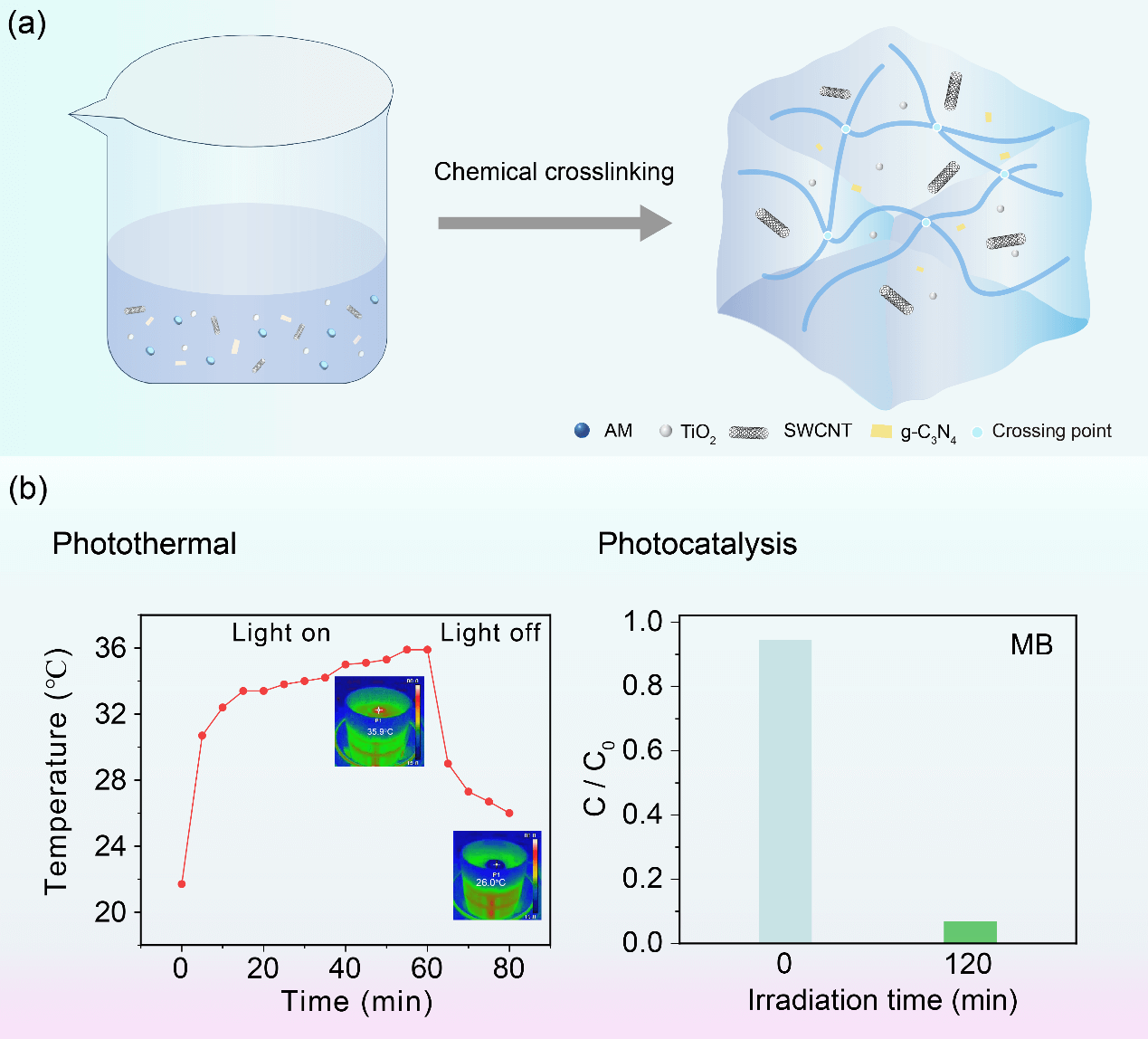 Constructing TiO<sub>2</sub>/g-C<sub>3</sub>N<sub>4</sub>/Single-Walled Carbon Nanotube Hydrogel for Synergistic Solar Evaporation and Photocatalytic Organic Pollutant