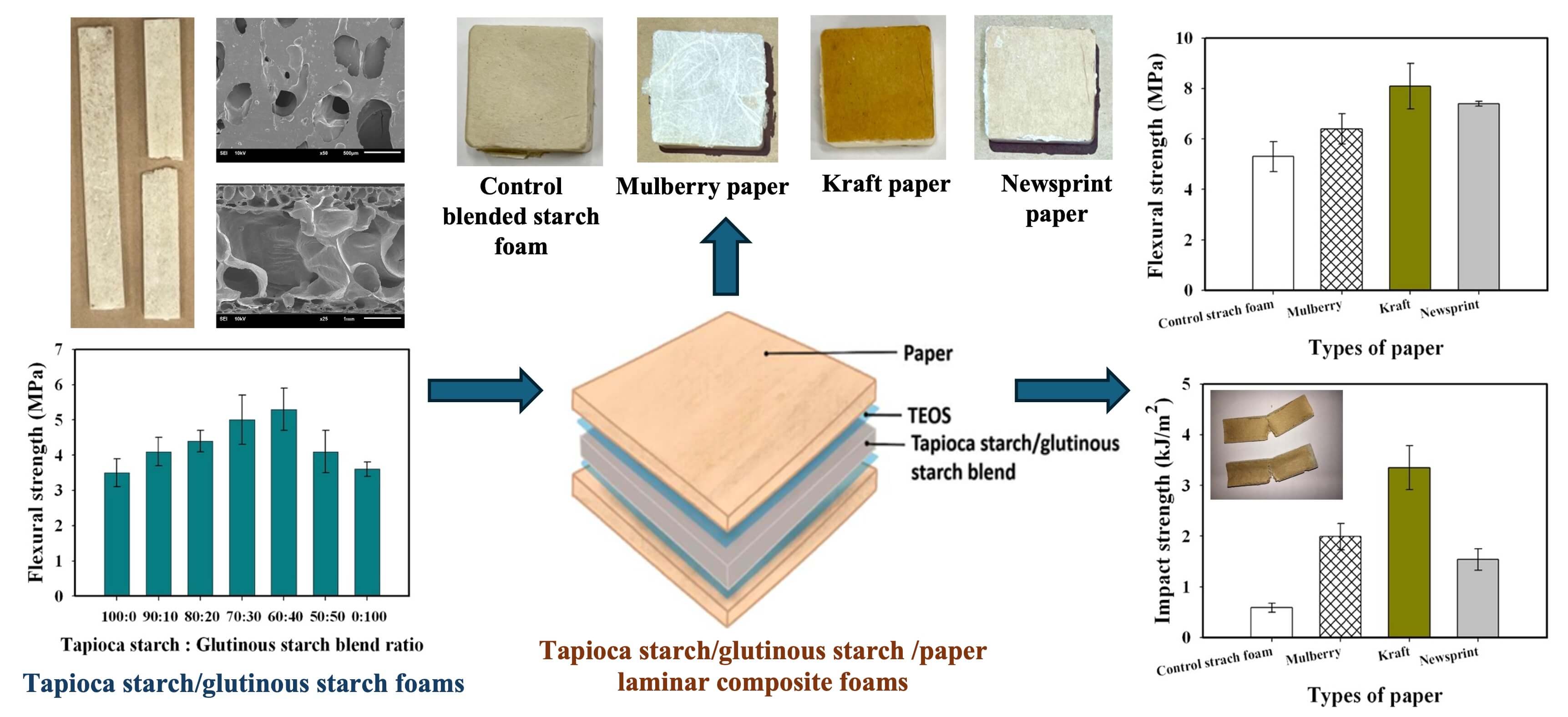 Pushing the Boundaries of Starch Foams: Novel Laminar Composites with Paper Reinforcement