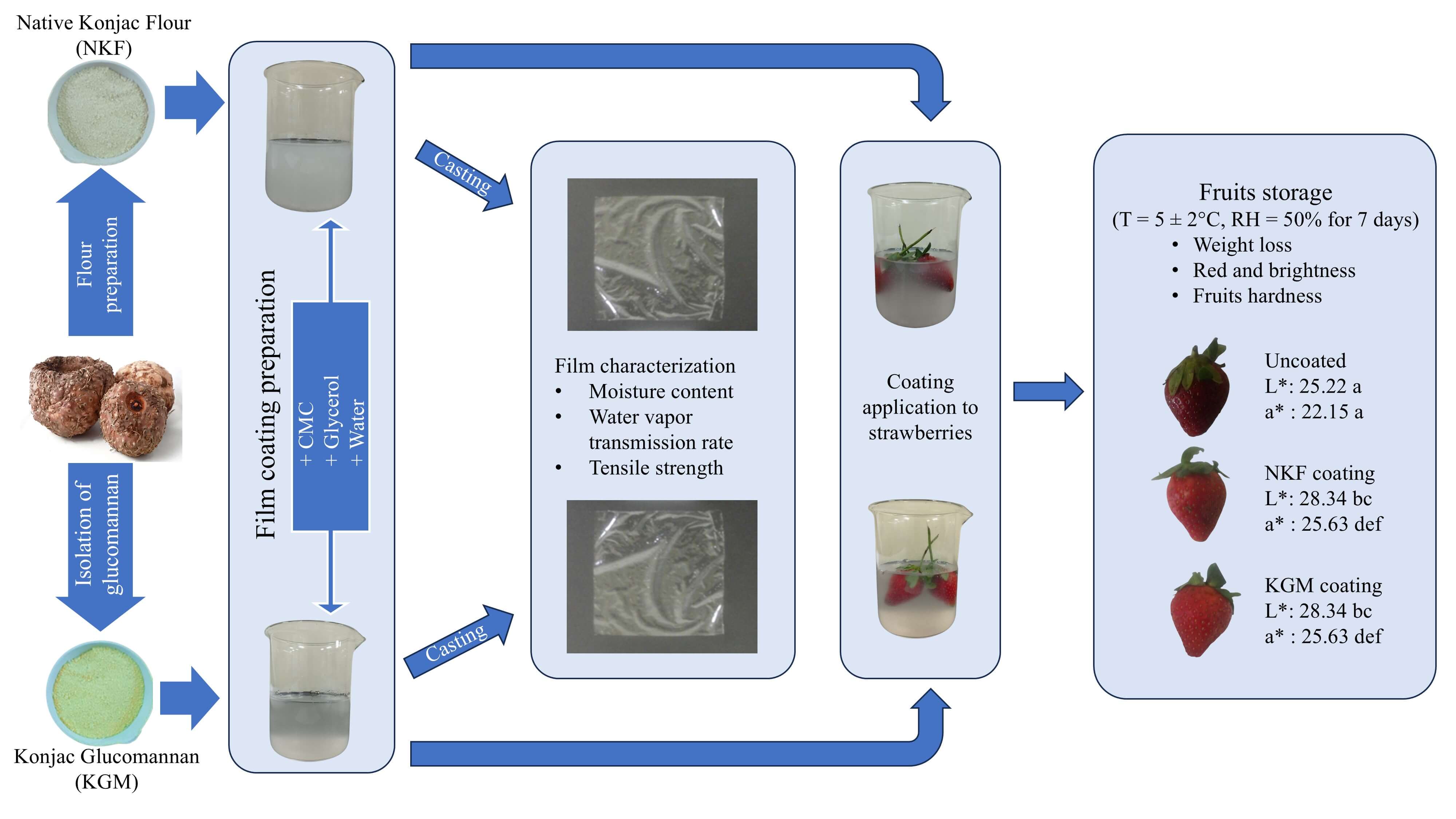 An Evaluation on Physical Characteristics of Konjac Polysaccharides-Based Film Coating and Its Application for Strawberries Preservation