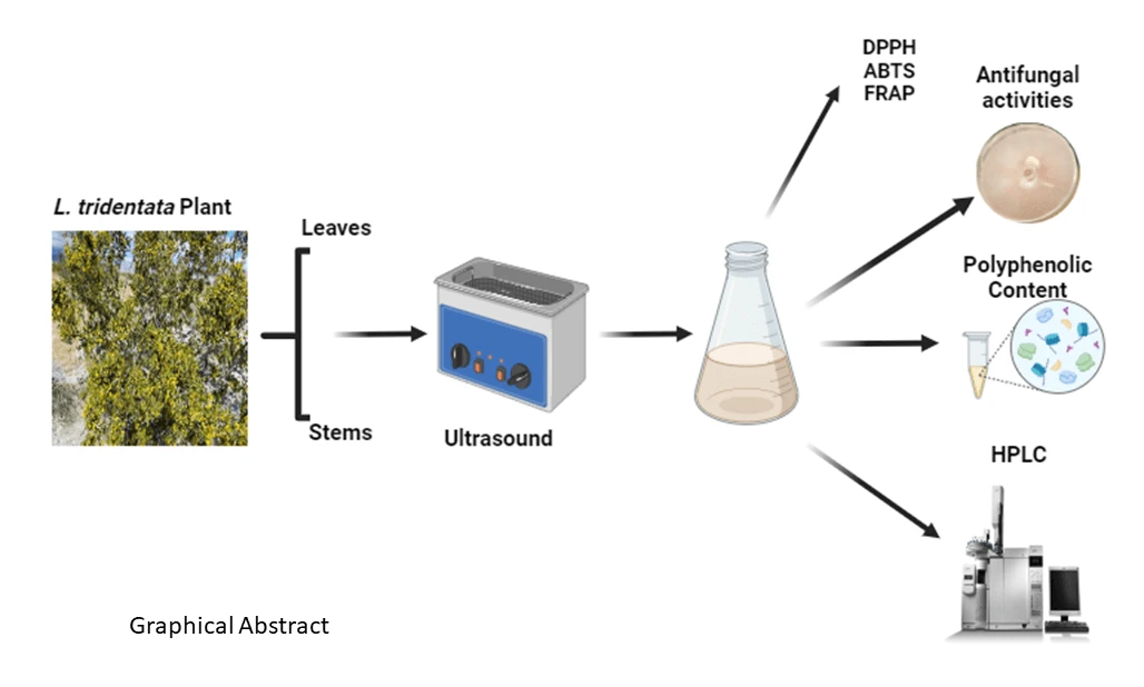 Bioactive Compounds Recovery from <i>Larrea tridentata</i> by Green Ultrasound-Assisted Extraction