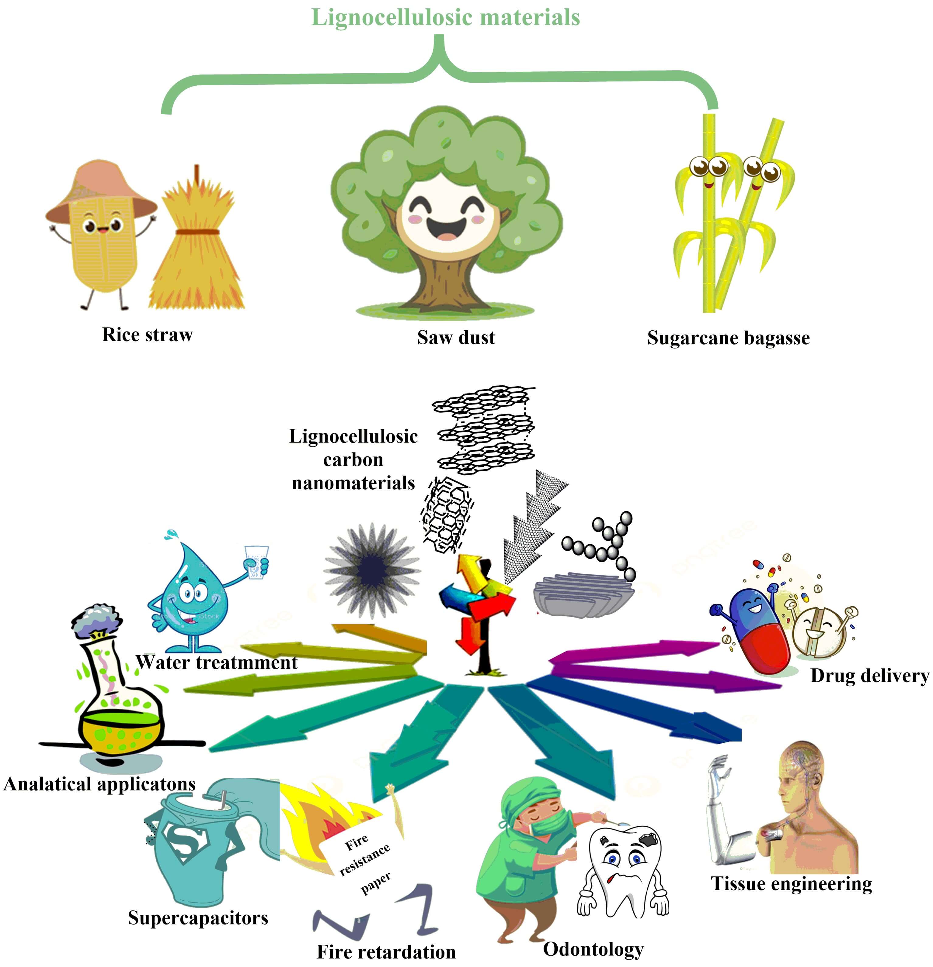 A Greener Future: Carbon Nanomaterials from Lignocellulose